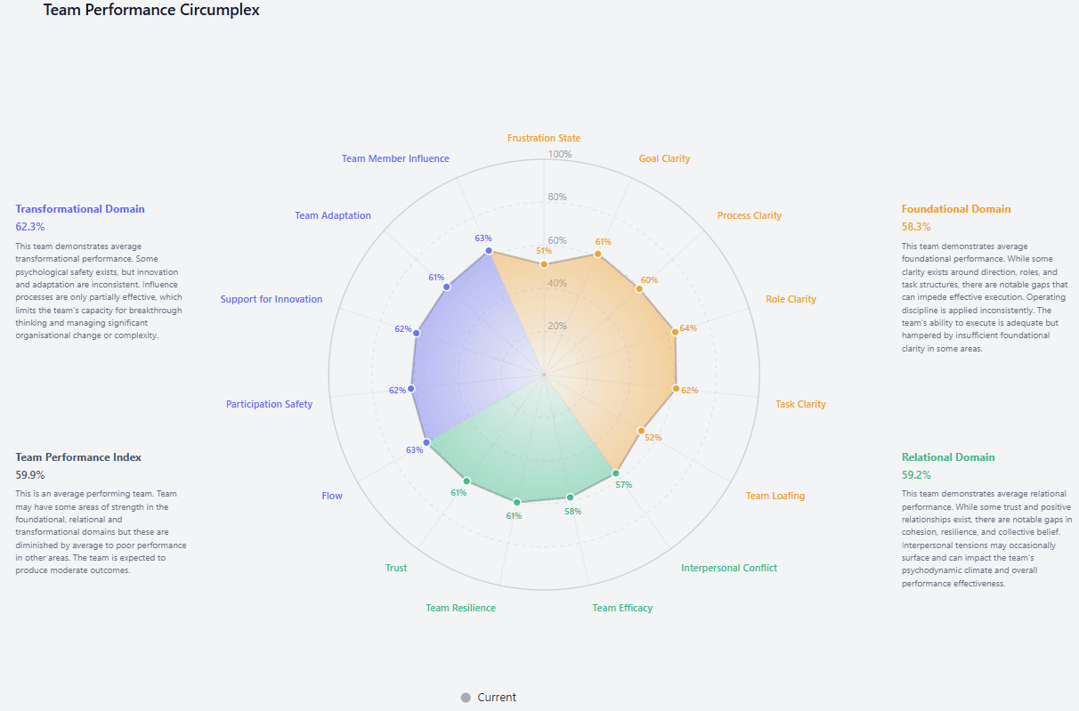 TSS Team Performance Circumplex